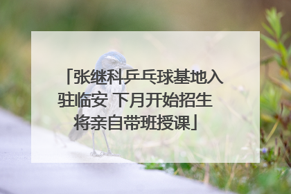 张继科乒乓球基地入驻临安 下月开始招生将亲自带班授课
