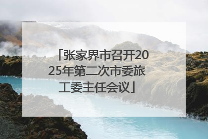张家界市召开2025年第二次市委旅工委主任会议