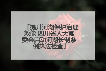 提升河湖保护治理效能 四川省人大常委会启动河湖长制条例执法检查