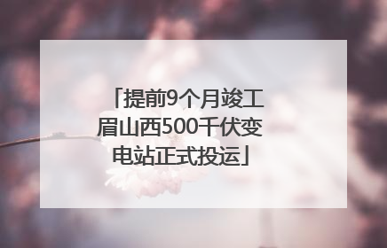 提前9个月竣工 眉山西500千伏变电站正式投运