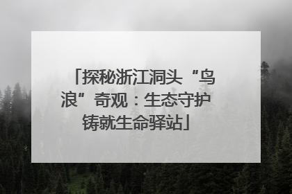 探秘浙江洞头“鸟浪”奇观：生态守护铸就生命驿站
