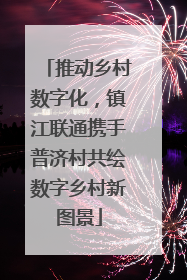 推动乡村数字化，镇江联通携手普济村共绘数字乡村新图景
