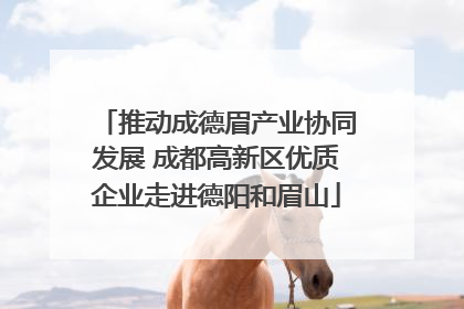 推动成德眉产业协同发展 成都高新区优质企业走进德阳和眉山