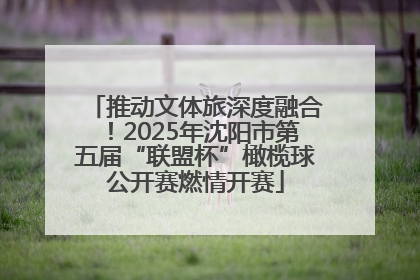 推动文体旅深度融合！2025年沈阳市第五届“联盟杯”橄榄球公开赛燃情开赛