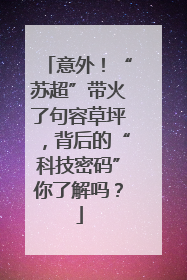 意外！“苏超”带火了句容草坪，背后的“科技密码”你了解吗？