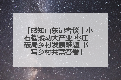 感知山东记者谈丨小石榴撬动大产业 枣庄破局乡村发展难题 书写乡村共富答卷