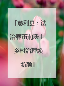 慈利县：法治春雨润沃土 乡村治理焕新颜