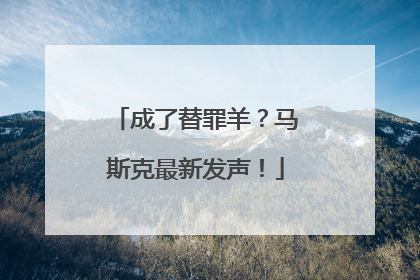 成了替罪羊？马斯克最新发声！