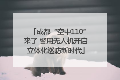 成都“空中110”来了 警用无人机开启立体化巡防新时代