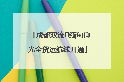 成都双流⇌缅甸仰光全货运航线开通