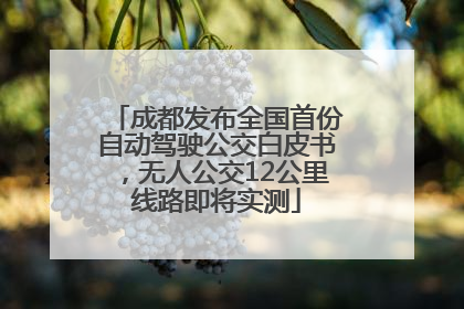 成都发布全国首份自动驾驶公交白皮书，无人公交12公里线路即将实测
