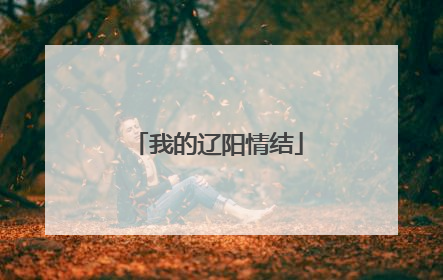 我的辽阳情结