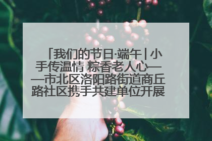 我们的节日·端午│小手传温情 粽香老人心——市北区洛阳路街道商丘路社区携手共建单位开展端午主题活动