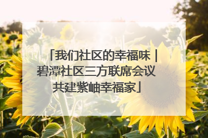 我们社区的幸福味｜碧潭社区三方联席会议共建紫岫幸福家