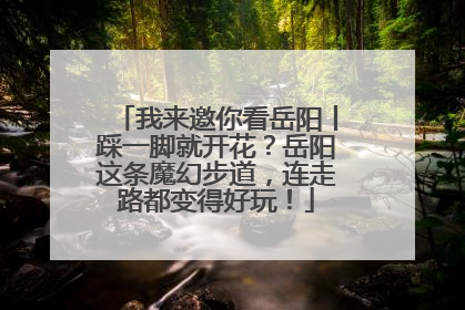 我来邀你看岳阳丨踩一脚就开花？岳阳这条魔幻步道，连走路都变得好玩！