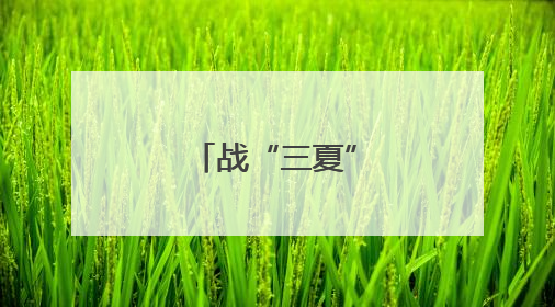 战“三夏” 夺丰收