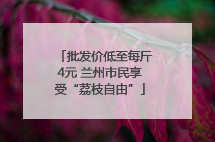 批发价低至每斤4元 兰州市民享受“荔枝自由”