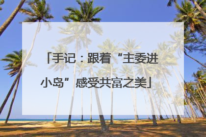 手记：跟着“主委进小岛”感受共富之美