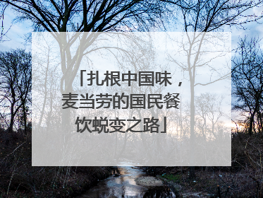 扎根中国味，麦当劳的国民餐饮蜕变之路
