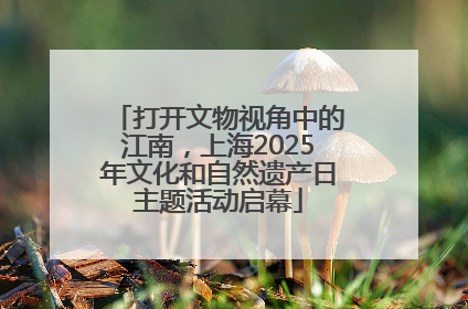 打开文物视角中的江南，上海2025年文化和自然遗产日主题活动启幕