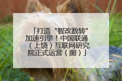 打造“智改数转”加速引擎！中国联通（上饶）互联网研究院正式运营（图）