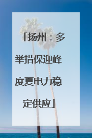 扬州：多举措保迎峰度夏电力稳定供应