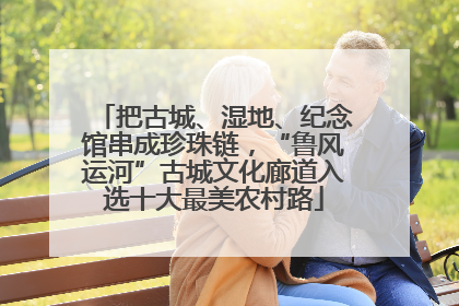 把古城、湿地、纪念馆串成珍珠链，“鲁风运河”古城文化廊道入选十大最美农村路