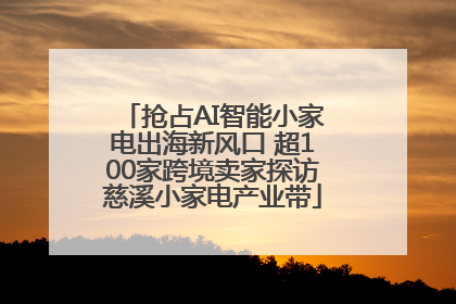 抢占AI智能小家电出海新风口 超100家跨境卖家探访慈溪小家电产业带