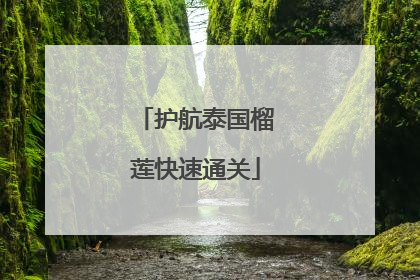 护航泰国榴莲快速通关