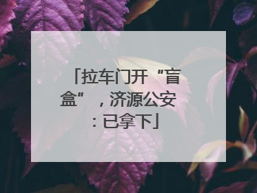 拉车门开“盲盒”,济源公安:已拿下