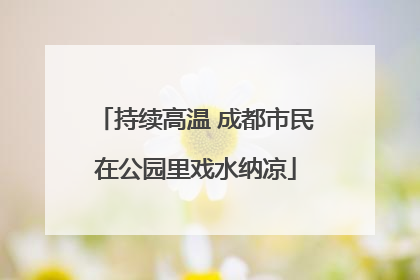 持续高温 成都市民在公园里戏水纳凉