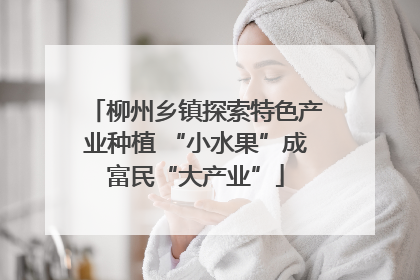 柳州乡镇探索特色产业种植 “小水果”成富民“大产业”