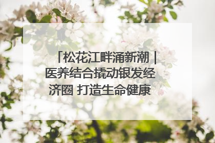 松花江畔涌新潮｜医养结合撬动银发经济圈 打造生命健康产业新样本