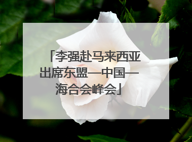 李强赴马来西亚出席东盟—中国—海合会峰会