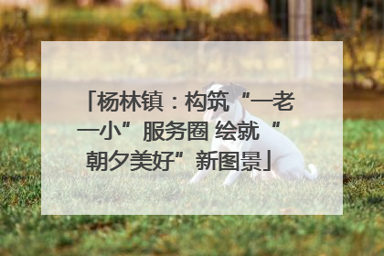 杨林镇：构筑“一老一小”服务圈 绘就“朝夕美好”新图景