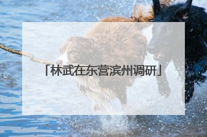 林武在东营滨州调研
