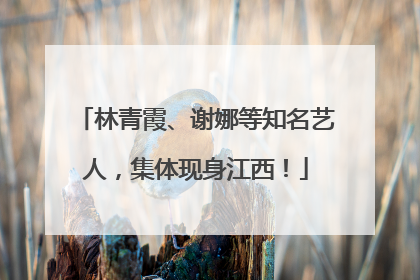 林青霞、谢娜等知名艺人，集体现身江西！
