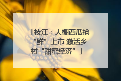 枝江：大棚西瓜抢“鲜”上市 激活乡村“甜蜜经济”