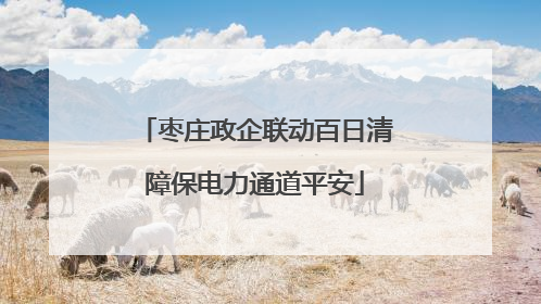 枣庄政企联动百日清障保电力通道平安