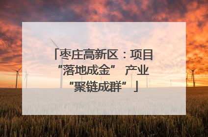 枣庄高新区：项目“落地成金” 产业“聚链成群”