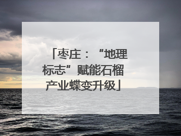 枣庄：“地理标志”赋能石榴产业蝶变升级