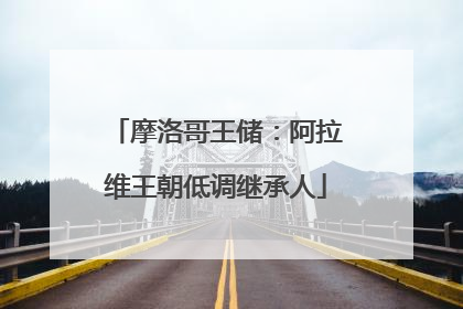 摩洛哥王储：阿拉维王朝低调继承人
