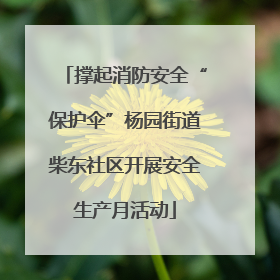 撑起消防安全“保护伞”杨园街道柴东社区开展安全生产月活动