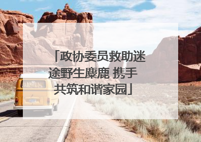 政协委员救助迷途野生麋鹿 携手共筑和谐家园