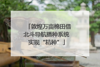敦煌万亩棉田借北斗导航播种系统实现“精种”
