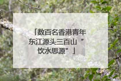 数百名香港青年东江源头三百山“饮水思源”