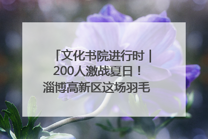 文化书院进行时｜200人激战夏日！淄博高新区这场羽毛球比赛太酷