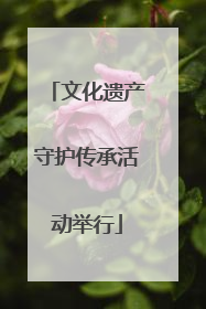 文化遗产守护传承活动举行