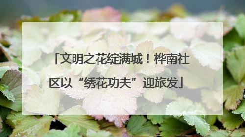 文明之花绽满城！桦南社区以“绣花功夫”迎旅发