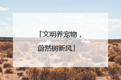 文明养宠物，蔚然树新风